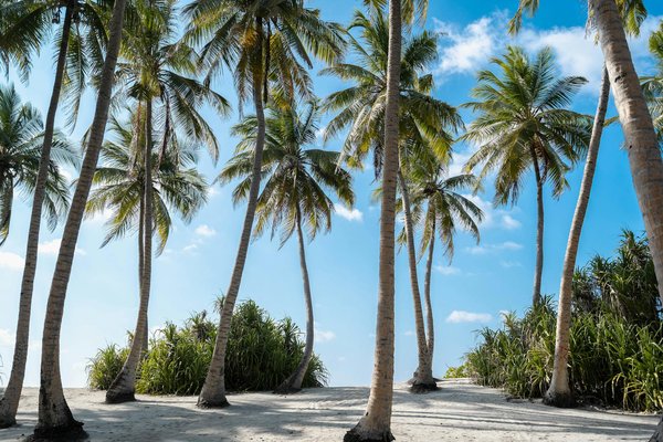 Découverte Cinématographique en Bretagne : Explorez les Lieux de Tournage des Films Cultes